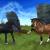 ColdNightMeadows