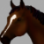BlueRiverEventingStables